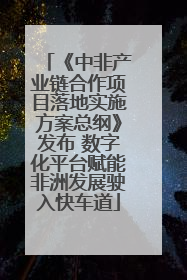 《中非产业链合作项目落地实施方案总纲》发布 数字化平台赋能非洲发展驶入快车道