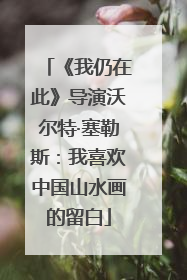 《我仍在此》导演沃尔特·塞勒斯：我喜欢中国山水画的留白