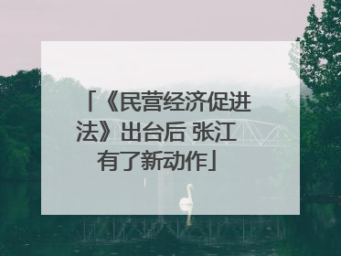 《民营经济促进法》出台后 张江有了新动作