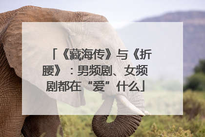 《藏海传》与《折腰》：男频剧、女频剧都在“爱”什么