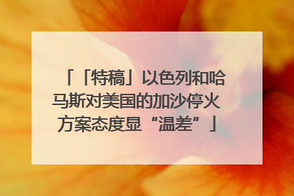 「特稿」以色列和哈马斯对美国的加沙停火方案态度显“温差”