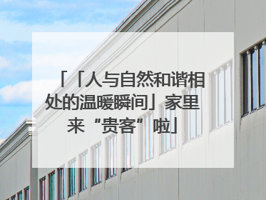 「人与自然和谐相处的温暖瞬间」家里来“贵客”啦