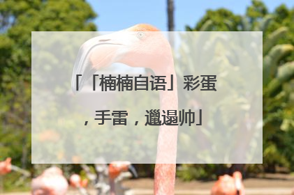 「楠楠自语」彩蛋，手雷，邋遢帅