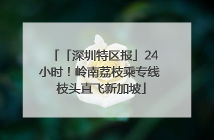 「深圳特区报」24小时！岭南荔枝乘专线 枝头直飞新加坡