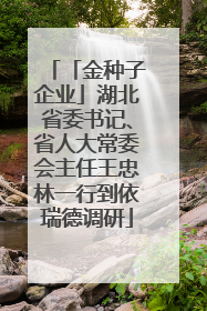 「金种子企业」湖北省委书记、省人大常委会主任王忠林一行到依瑞德调研