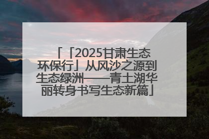 「2025甘肃生态环保行」从风沙之源到生态绿洲——青土湖华丽转身书写生态新篇