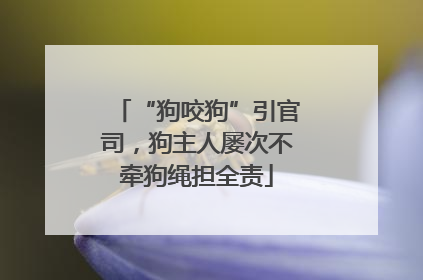“狗咬狗”引官司，狗主人屡次不牵狗绳担全责