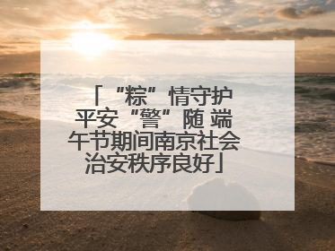 “粽”情守护 平安“警”随 端午节期间南京社会治安秩序良好
