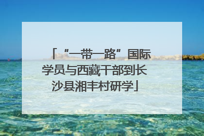 “一带一路”国际学员与西藏干部到长沙县湘丰村研学