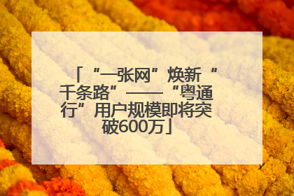 “一张网”焕新“千条路”——“粤通行”用户规模即将突破600万