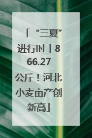 “三夏”进行时丨866.27公斤！河北小麦亩产创新高