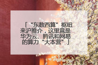 “东数西算”枢纽来沪推介，这里竟是华为云、腾讯和网易的算力“大本营”