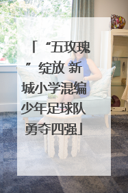“五玫瑰”绽放 新城小学混编少年足球队勇夺四强