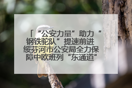 “公安力量”助力“钢铁驼队”提速前进 绥芬河市公安局全力保障中欧班列“东通道”绥芬河隧道贯通
