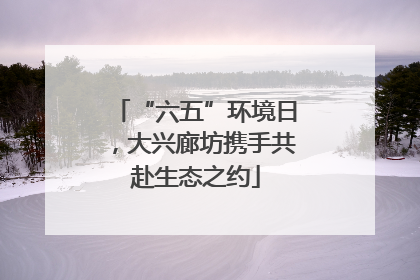 “六五”环境日，大兴廊坊携手共赴生态之约