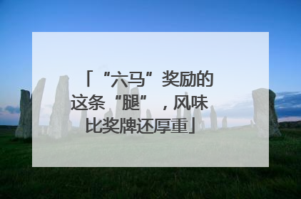 “六马”奖励的这条“腿”，风味比奖牌还厚重