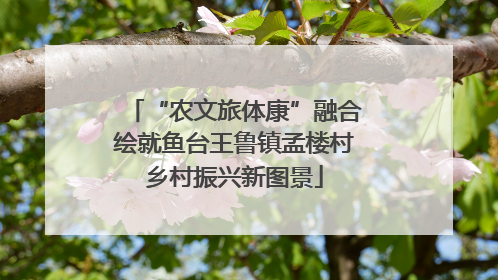 “农文旅体康”融合绘就鱼台王鲁镇孟楼村乡村振兴新图景