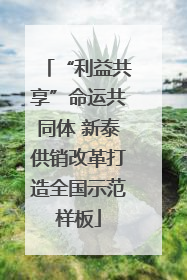 “利益共享”命运共同体 新泰供销改革打造全国示范样板