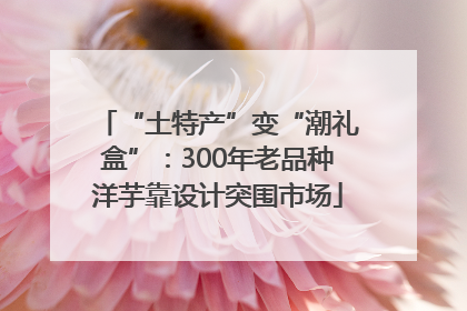 “土特产”变“潮礼盒”：300年老品种洋芋靠设计突围市场