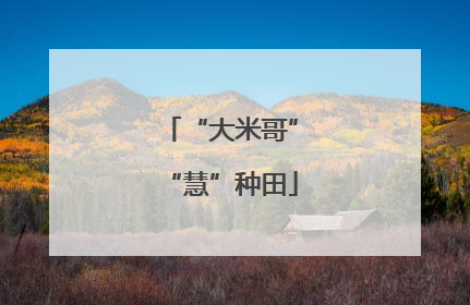 “大米哥”“慧”种田