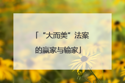 “大而美”法案的赢家与输家