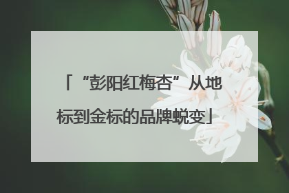 “彭阳红梅杏”从地标到金标的品牌蜕变