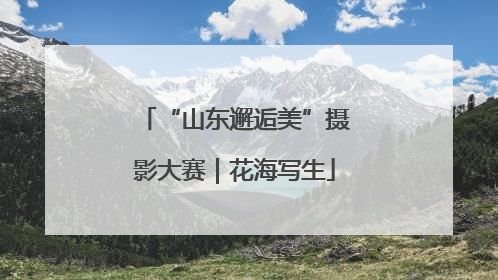 “山东邂逅美”摄影大赛｜花海写生