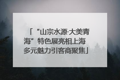 “山宗水源·大美青海”特色展亮相上海 多元魅力引客商聚焦
