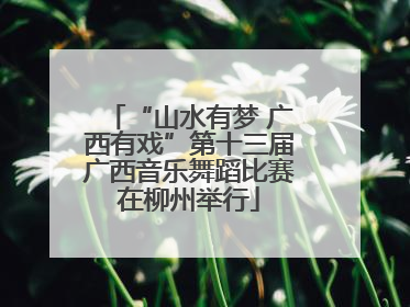 “山水有梦 广西有戏”第十三届广西音乐舞蹈比赛在柳州举行