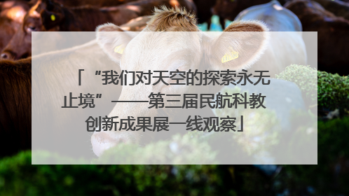 “我们对天空的探索永无止境”——第三届民航科教创新成果展一线观察