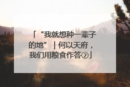 “我就想种一辈子的地”｜何以天府，我们用粮食作答②