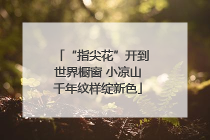 “指尖花”开到世界橱窗 小凉山千年纹样绽新色