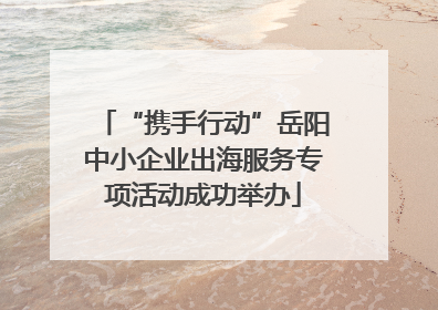 “携手行动”岳阳中小企业出海服务专项活动成功举办