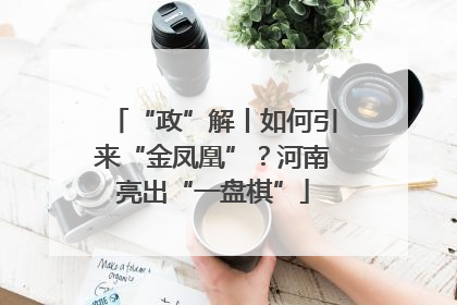 “政”解丨如何引来“金凤凰”？河南亮出“一盘棋”