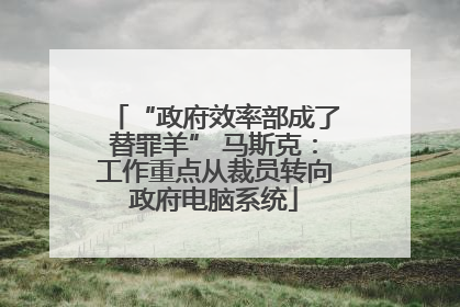 “政府效率部成了替罪羊” 马斯克：工作重点从裁员转向政府电脑系统