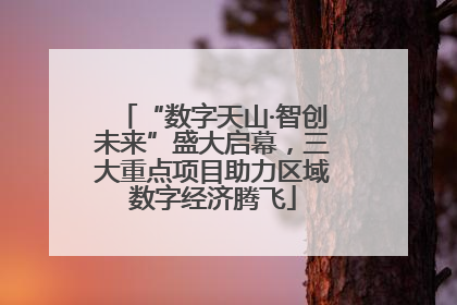 “数字天山·智创未来”盛大启幕，三大重点项目助力区域数字经济腾飞