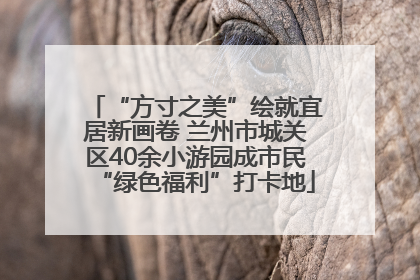 “方寸之美”绘就宜居新画卷 兰州市城关区40余小游园成市民“绿色福利”打卡地