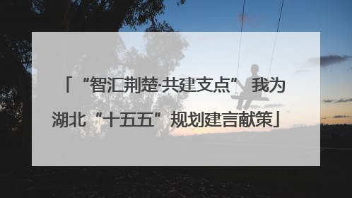 “智汇荆楚·共建支点” 我为湖北“十五五”规划建言献策