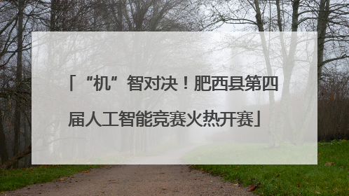 “机”智对决！肥西县第四届人工智能竞赛火热开赛