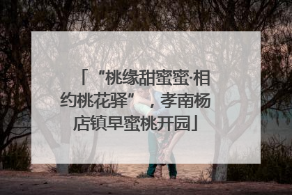 “桃缘甜蜜蜜·相约桃花驿”，孝南杨店镇早蜜桃开园