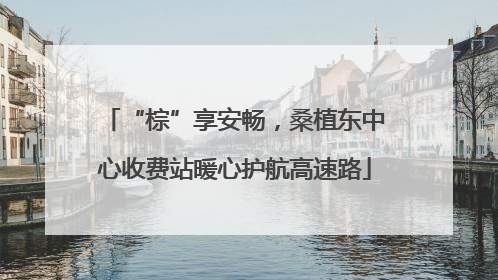 “棕”享安畅，桑植东中心收费站暖心护航高速路