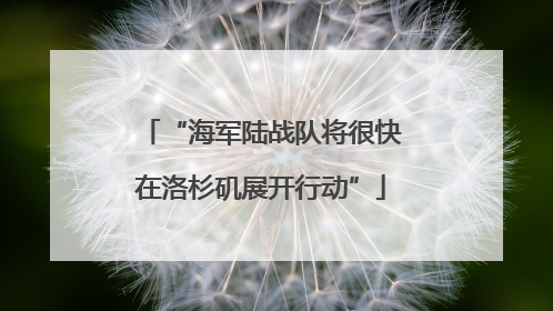 “海军陆战队将很快在洛杉矶展开行动”