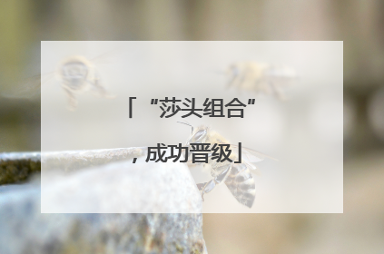 “莎头组合”，成功晋级