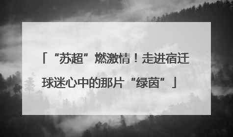 “苏超”燃激情！走进宿迁球迷心中的那片“绿茵”