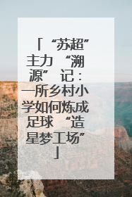 “苏超”主力 “溯源” 记：一所乡村小学如何炼成足球 “造星梦工场”