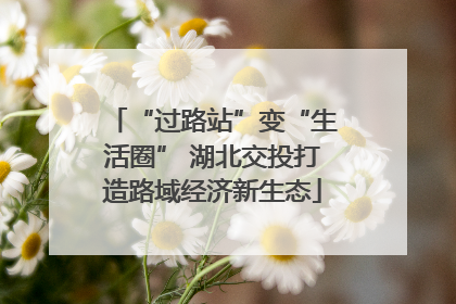 “过路站”变“生活圈” 湖北交投打造路域经济新生态