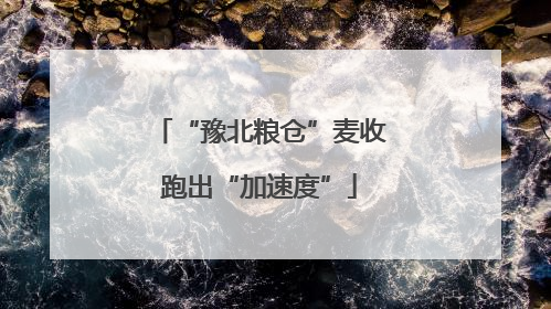 “豫北粮仓”麦收跑出“加速度”