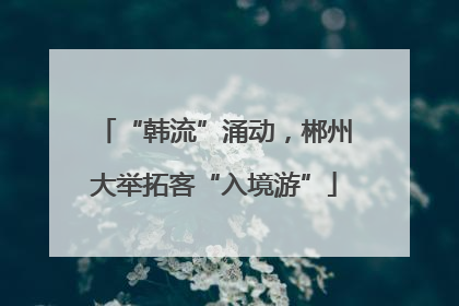 “韩流”涌动，郴州大举拓客“入境游”
