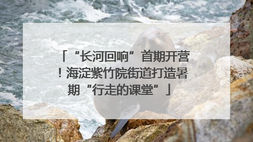 “长河回响”首期开营！海淀紫竹院街道打造暑期“行走的课堂”