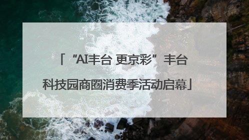 “AI丰台 更京彩”丰台科技园商圈消费季活动启幕